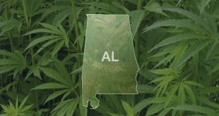 Personil Injury Lawyer In Chilton Al Dans Al Medical Marijuana Commission Holding First Meeting - Leaf Nation