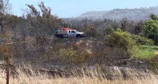 Vpn Services In Gillespie Tx Dans More Than 1,400 Acres Burn In Gillespie County, Fire is 50 ...