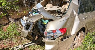 Car Accident Lawyer In Beaver Pa Dans Car Crashes Backwards Into Tree; Driver is Ejected Into Beaver ...