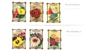 Car Insurance In orange Ny Dans Old Print Factory New Blank Recipe Cards Set Of 12 assorted Flowers