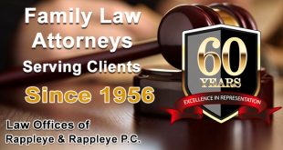 Jackson Wv Car Accident Lawyer Dans David Stein attorney attorneys In Jackson Mi