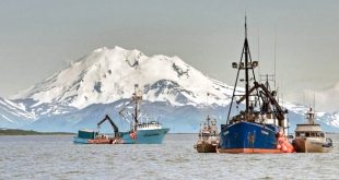 Small Business software In Bristol Bay Ak Dans Rough Seas In Bristol Bay - Wwf Seafood Sustainability