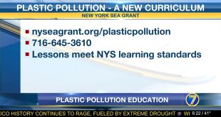 Small Business software In Childress Tx Dans Ny Sea Grant: Plastic Pollution Education