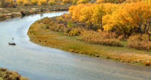 Small Business software In San Juan Co Dans San Juan River Fly Fishing In Colorado