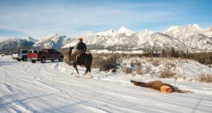 Small Business software In Teton Mt Dans Photographers Sue to Stop Grand Teton Elk Hunt - Wyofile