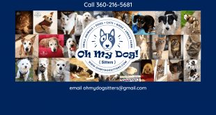 Small Business software In Thurston Wa Dans Oh My Dog Sitters – Olympia Wa