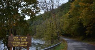 Car Insurance In forest Pa Dans Cook forest State Park In Cooksburg Pennsylvania Kid Friendly