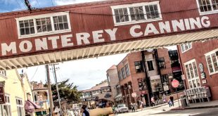 Car Insurance In Monterey Ca Dans Cannery Row Monterey tour Read This before You Go