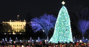 Car Insurance In Washington Va Dans Christmas Tree Lighting Ceremonies In Dc Md and Va