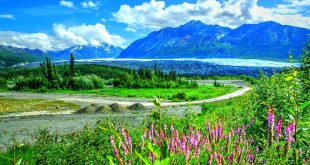 Car Rental software In Matanuska-susitna Ak Dans Alaskan Heritage and Wildlife One Aggie Network