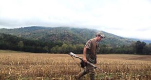 Cheap Vpn In Bibb Al Dans the Rich Culture Of Dove Hunting In the American south Farwide