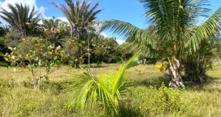 Cheap Vpn In Ceiba Pr Dans Phase 5 La Ceiba Beach Club Land for Sale, La Ceiba, atlÃ¡ntida ...