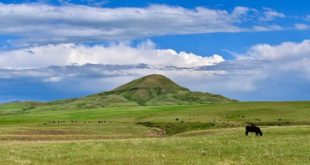 Cheap Vpn In Judith Basin Mt Dans Judith Basin County, Mt Land for Sale - 10 Properties - Landsearch