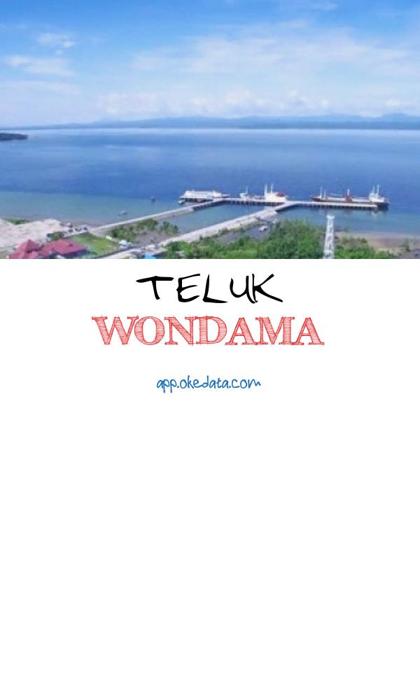 Info Lowongan Kerja Di Lokasi Teluk Wondama Tahun 2022. Sumber : Https://westpapuaupdate.com/construction-port-wondama-bay/