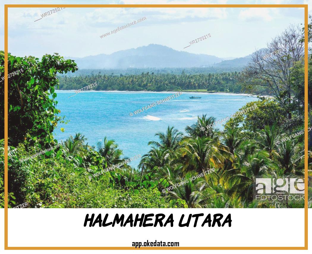 Info Lowongan Kerja Untuk Lokasi Halmahera Utara 2022. Sumber : Https://www.agefotostock.com/age/en/details-photo/indonesia-maluku-utara-kabupaten-halmahera-utara-view-through-palm-trees-to-the-sea-on-northern-molikken/wr2739215