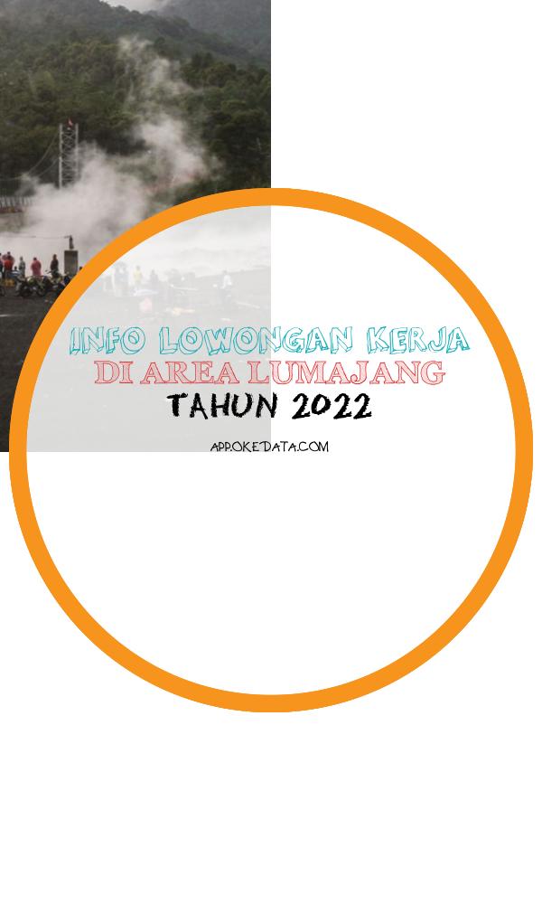 Informasi Kerja Di Daerah Lumajang Tahun 2022. Sumber : Https://www.globaltimes.cn/page/202201/1245501.shtml