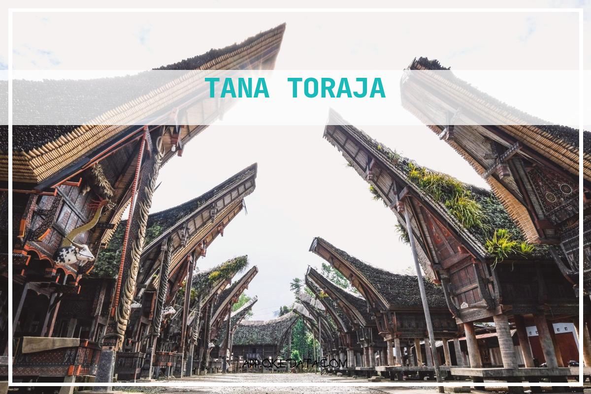 Informasi Kerja Untuk Tana toraja . Sumber : Https://theworldtravelguy.com/tana-toraja-indonesia-things-to-do-in-sulawesi-funeral-land/