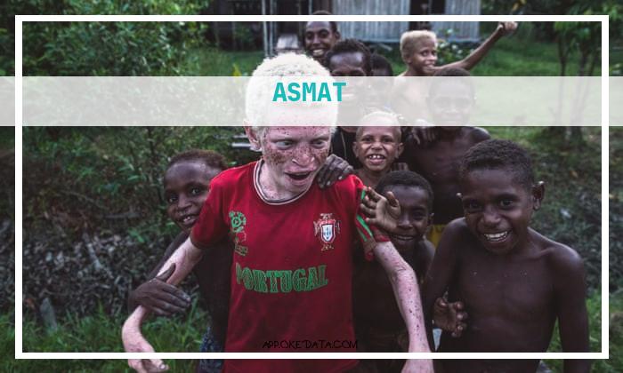 Informasi Kerja Untuk Wilayah asmat 2022. Sumber : Https://www.theguardian.com/global-development-professionals-network/gallery/2017/feb/03/asmat-tribe-indonesia-in-pictures