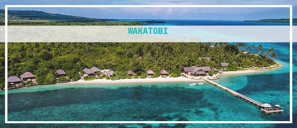 Lowongan Kerja Untuk Wakatobi 2022. Sumber : Https://www.wakatobi.com/