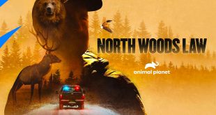 Merrimack Nh Car Accident Lawyer Dans Watch north Woods Law Season 16 Prime Video