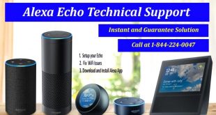 Small Business software In Burlington Nj Dans Alexa Echo Help In Burlington Nj