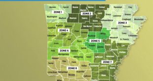 Small Business software In Cleburne Ar Dans State Approves Medical Marijuana Dispensary Licenses Arkansas ...