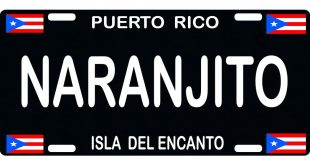 Small Business software In Naranjito Pr Dans Naranjito Puerto Rico Novelty State Background Metal License Plate ...