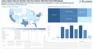 Small Business software In Wilkin Mn Dans Cares Act Fraud, Waste, and Abuse: Analyzing Loans Under the Paycheck Protection Program