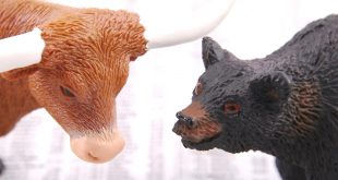 Vpn Services In Hunt Tx Dans Bull Vs Bear Market: What's the Difference â forbes Advisor India