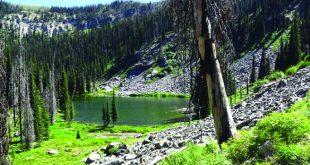 Vpn Services In Nez Perce Id Dans Nez Perce-clearwater National forests - Home