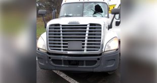 Car Accident Lawyer In Gallia Oh Dans Turkey Struck by Dog Food Truck In Ohio Smashes Through Windshield ...