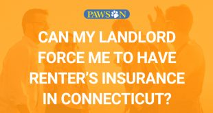 Car Insurance In New Haven Ct Dans Can My Landlord force Me to Have Renter’s Insurance In Ct