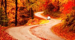 Car Insurance In Ohio In Dans Fall Foliage Peak Periods In the southeast