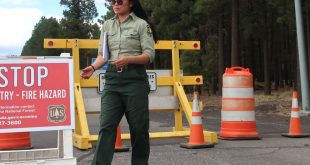 Car Rental software In Coconino Az Dans there's Just too Much at Risk': Arizona Closes forests to Prevent ...