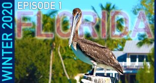 Cheap Vpn In Charlottesville Va Dans Myakka River State Park and Venice, Florida - Winter 2020 Episode 1