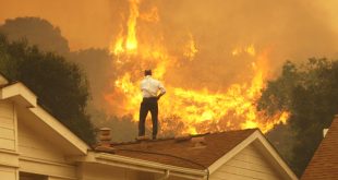 Small Business software In Colfax Nm Dans What to Know About Wildfire Insurance â forbes Advisor