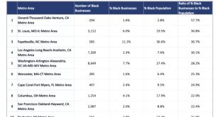 Small Business software In Greensville Va Dans Black-owned Businesses In U.s. Cities: the Challenges, solutions ...