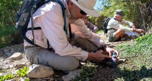 Small Business software In Nye Nv Dans Calendar Of events - Friends Of Nevada Wilderness