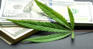 Small Business software In orange Vt Dans California Cannabis Tax Revenues Pass $1 Billion