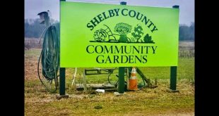 Small Business software In Shelby Il Dans Shelby County Community Garden Reestablished; Citizens Encouraged ...