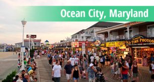 Small Business software In Worcester Md Dans Best Web Design Services In Ocean City Md