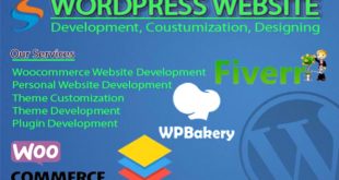 Vpn Services In Prentiss Ms Dans I Will Develop Wordpress Website for Woocommerce Business ...