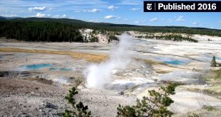 Car Accident Lawyer In Hot Springs Wy Dans Yellowstone Visitor Dies after Falling Into Hot Spring - the New ...