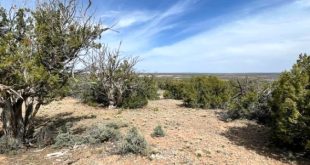 Car Rental software In Mckinley Nm Dans Mckinley County Nm Land & Lots for Sale - 72 Listings Zillow