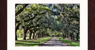 Cheap Vpn In Boone In Dans Greatbigcanvas Boone Hall Plantation Oak Lined Espresso Framed Wall Art Print, Artwork