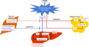 Cheap Vpn In Dawson Mt Dans Frontiers Gene-environmental Interactions as Metabolic Drivers ...