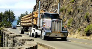 Kentucky Truck Accident Lawyer Dans Liability In Logging Truck Accidents In Kentucky