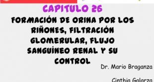 Small Business software In De soto La Dans Capitulo 26 formación De orina