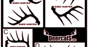 Small Business software In Elk Ks Dans Shed Antler Hunter Decal Sticker Set Pair Custom Text Free - Etsy