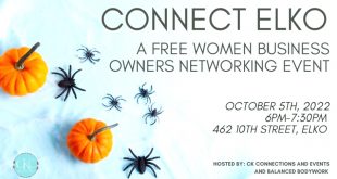 Small Business software In Elko Nv Dans Connect Elko: Women Owned Businesses - October 2022, 462 10th St ...